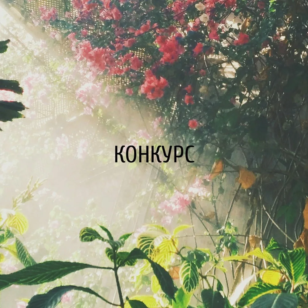 ⚡️ Заканчивается регистрация: Международный конкурс дизайна "HEALING GARDEN / ИСЦЕЛЯЮЩИЙ САД" (Итали
