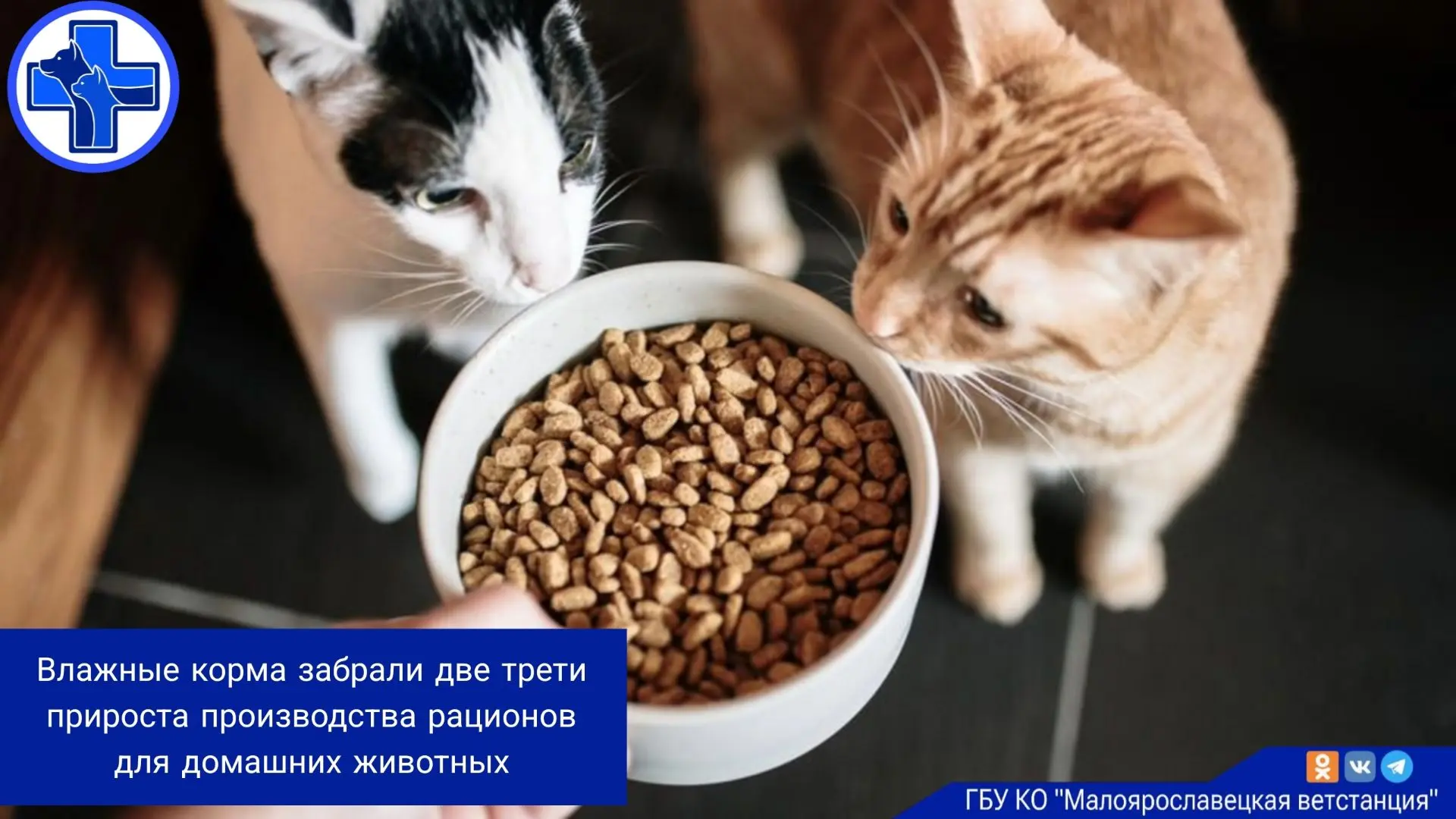 За первое полугодие 2026 года российские предприятия произвели 902,9 тыс. тонн кормов д...
