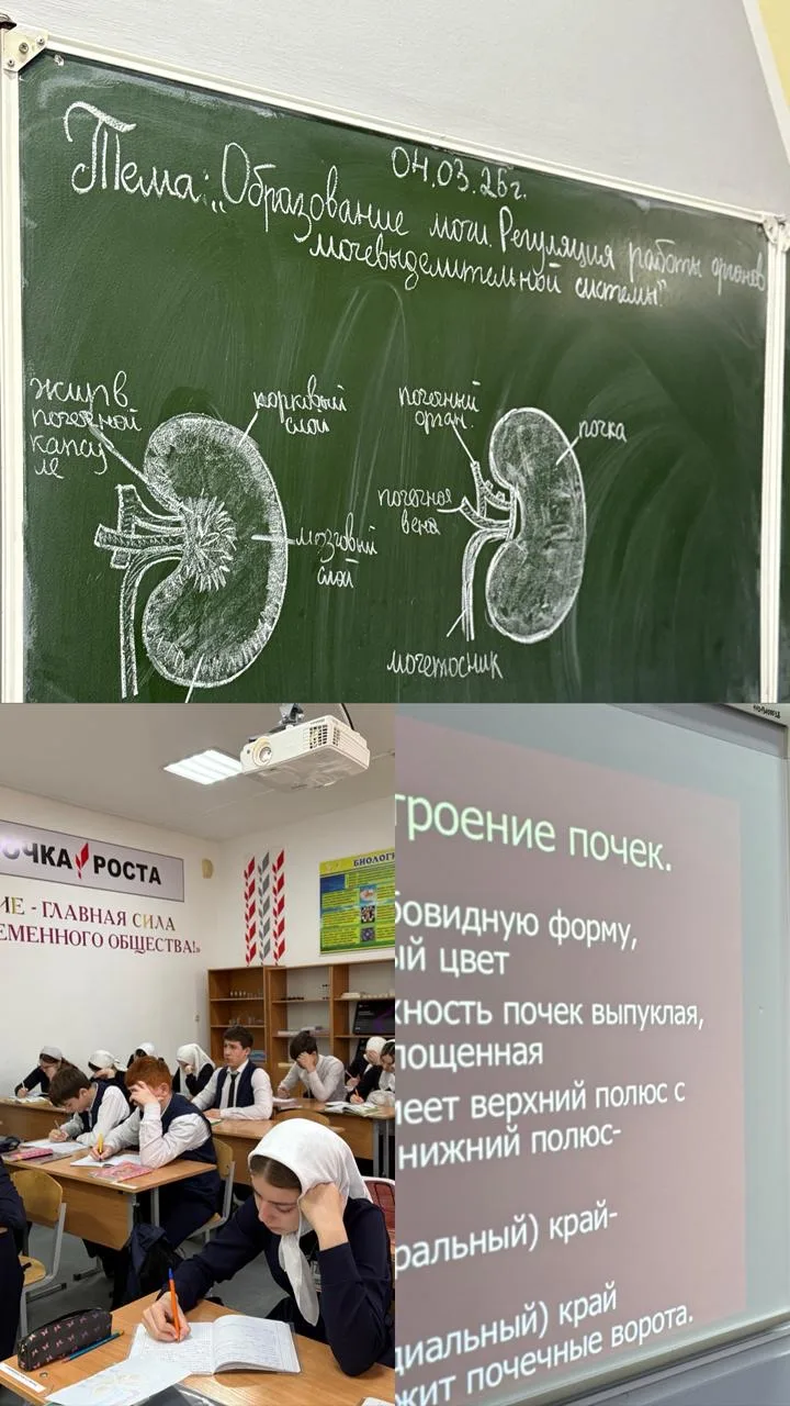 04.03.2026г. В 9 а классе был проведен урок по биологии на тему «Выделительная система человека» Цел