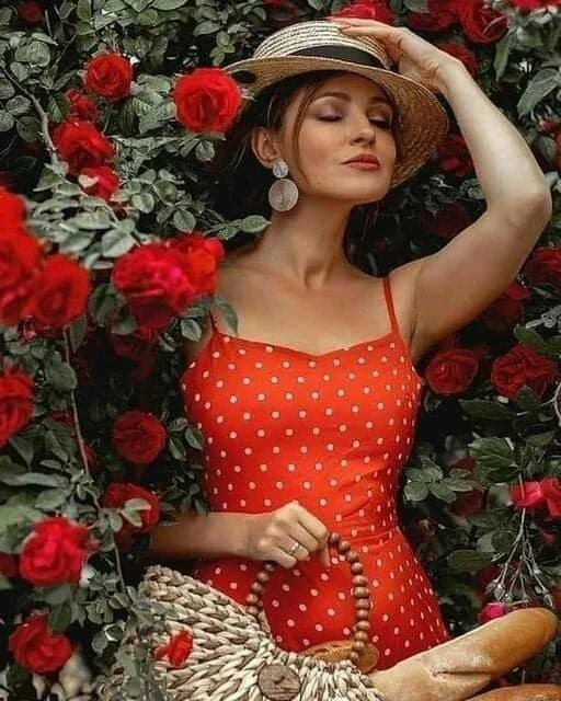 🌺●🌺 ●🌺 ●🌺 ●🌺