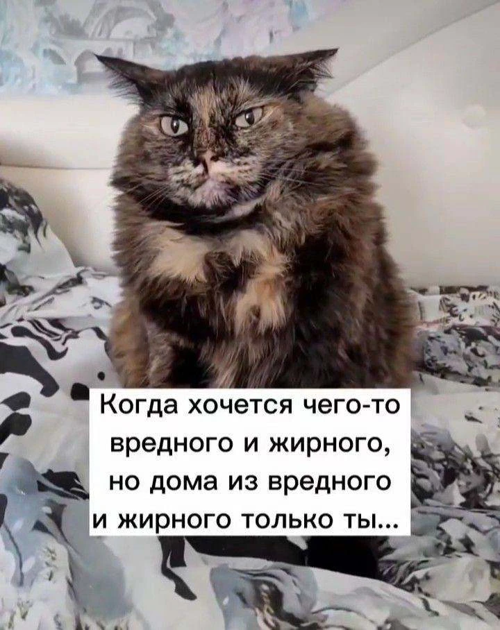 Машенька