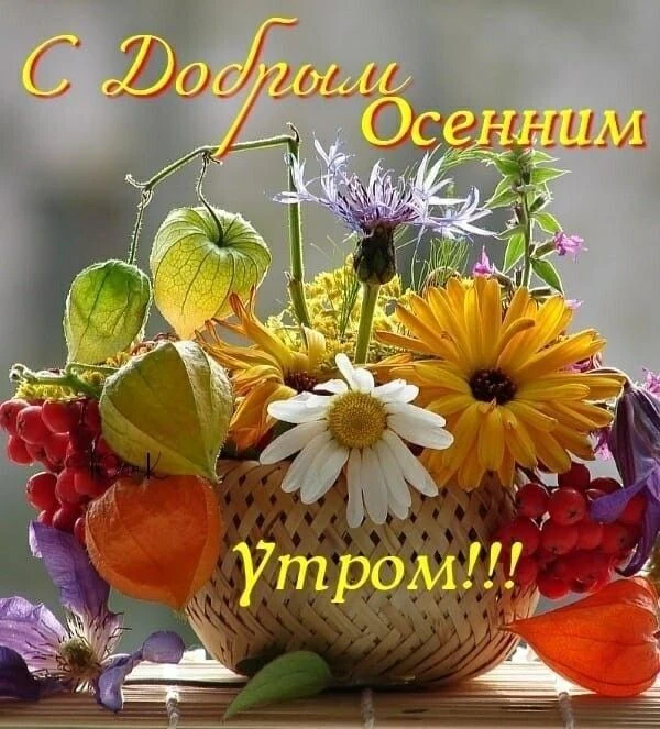 Доброго выходного дня, друзья!