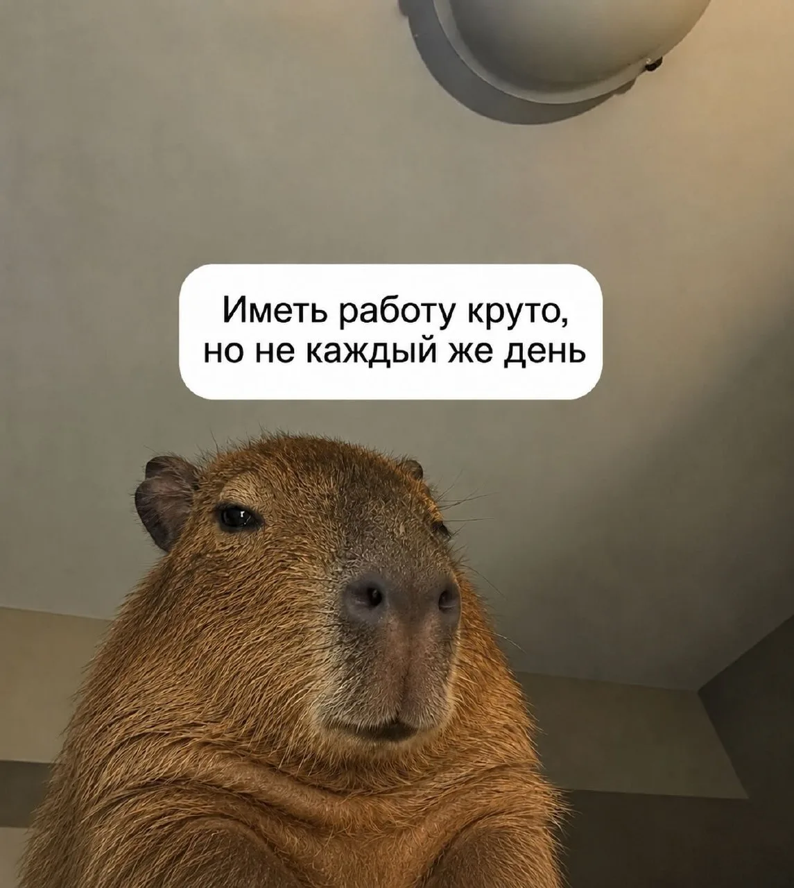 ЯНТАРНОЕ ДОБРОЕ УТРО