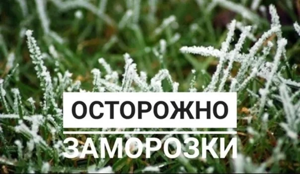 Уважаемые жители Бикинского округа!