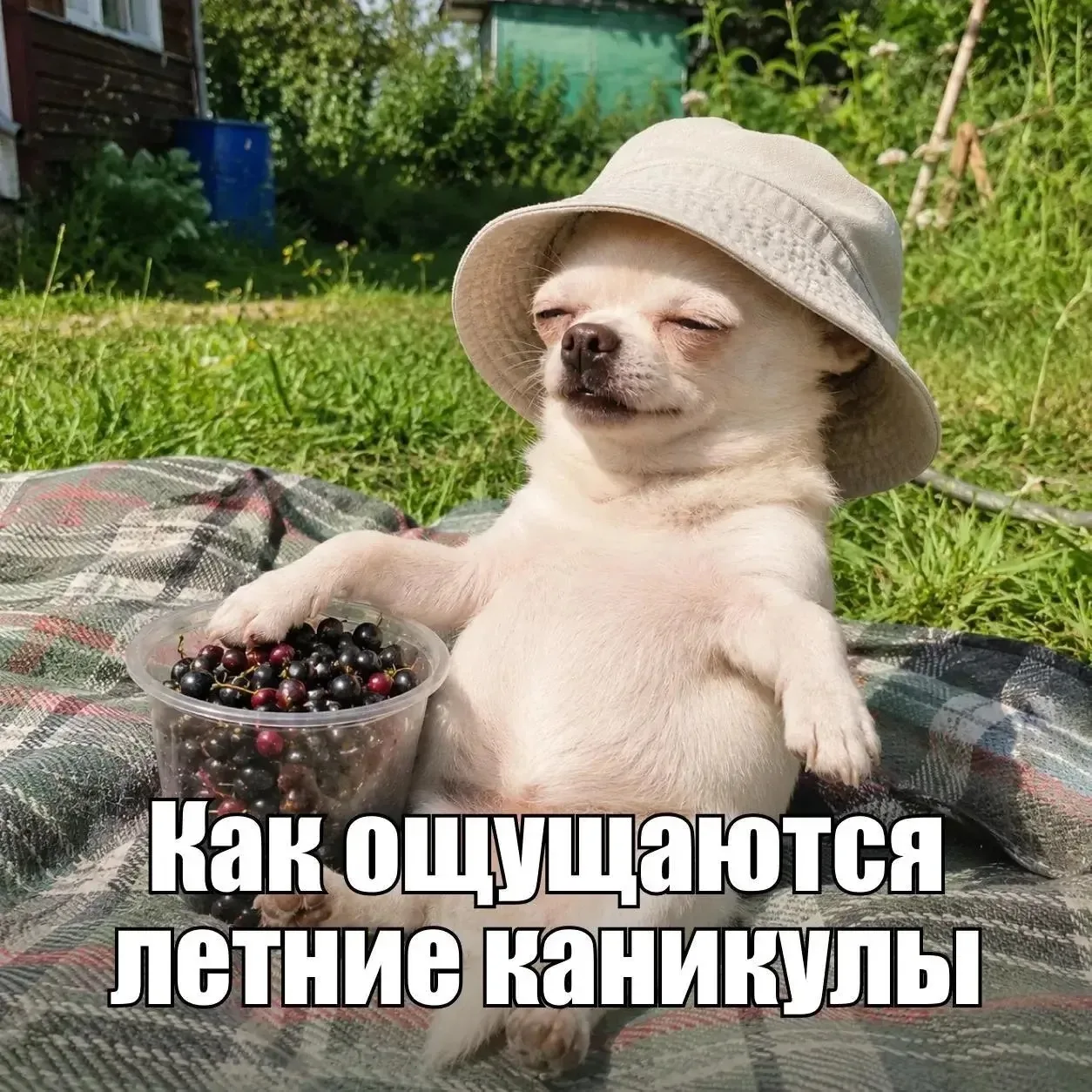 Кто узнал себя?
Рассказывайте, где уже успели побывать за первый месяц лета.