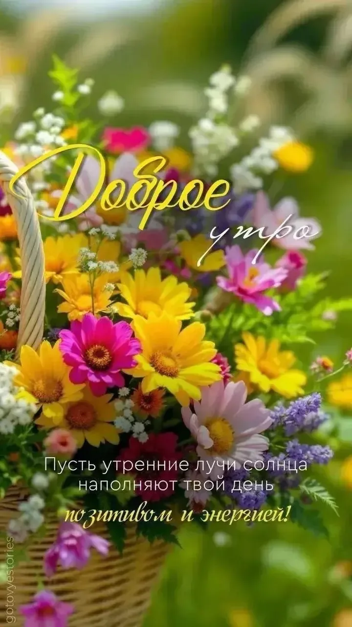 Открытки на каждый день 🎀