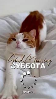 🌧 Доброе утро, Тюмень! Суббота, 3 октября!