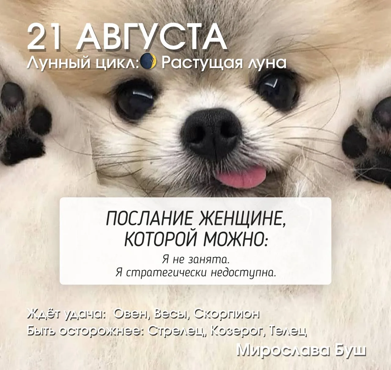21 августа РЕКОМЕНДАЦИИ 🔥