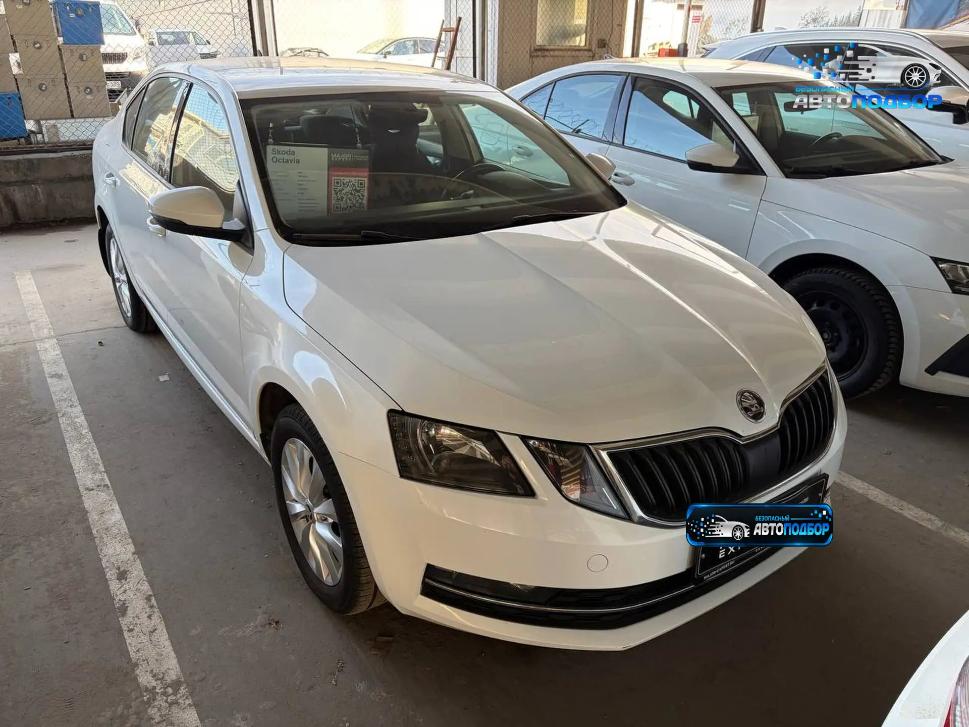 Skoda Octavia: родной окрас, но не без нюансов 🚘
