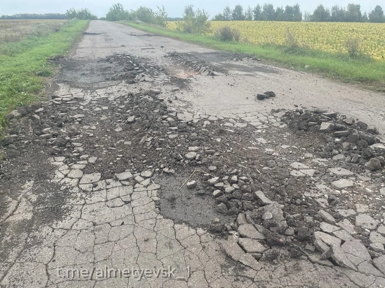 Жители деревни Новая Михайловка в Альметьевском районе пожаловались на критическое сост...