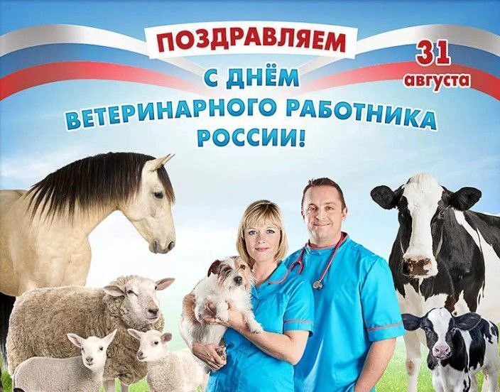 Поздравляем коллег  с  нашим профессиональным праздником  — Днём ветеринарного работника!
