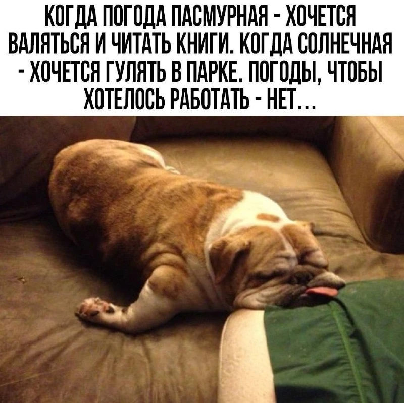 ВИШНЯ 🍒