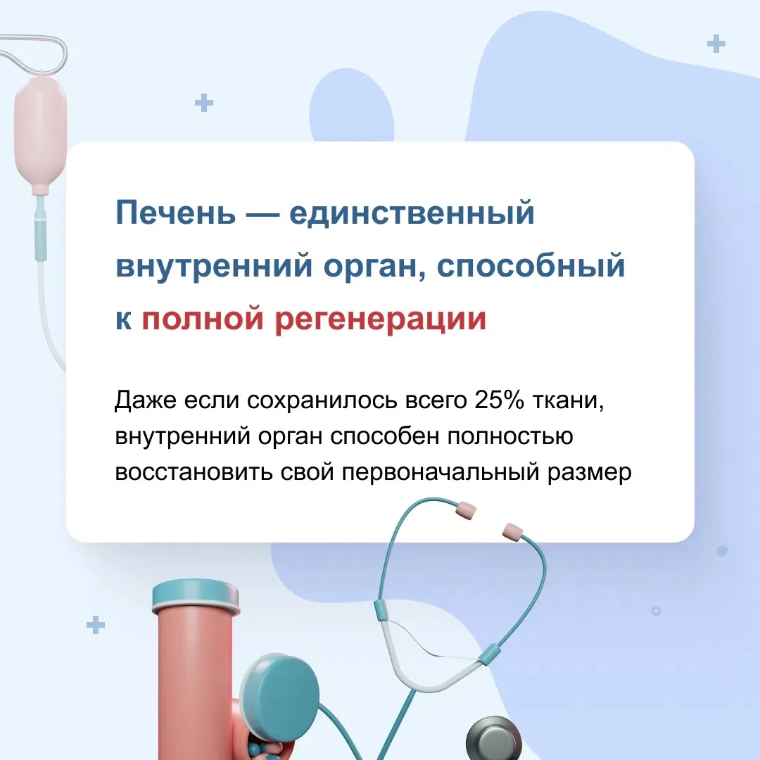 Знали ли вы, что печень — один из самых трудолюбивых органов нашего организма? Она выпо...