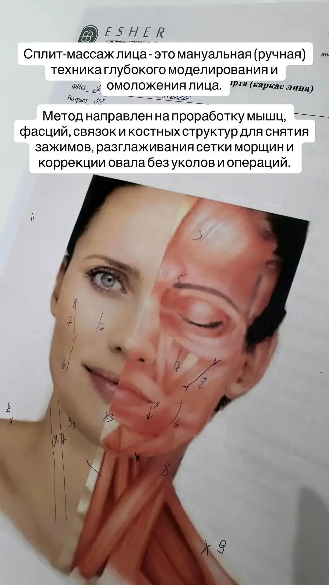 Сплит-массаж лица: наука омоложения без инъекций