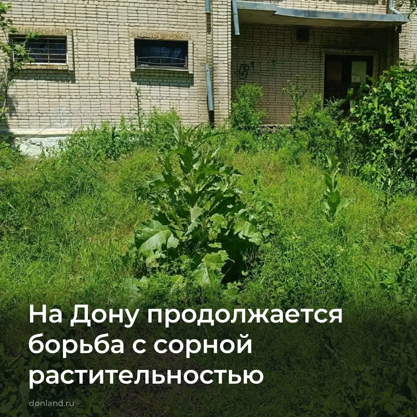 🌿 Административная инспекция региона напоминает собственникам и арендаторам земельных ...