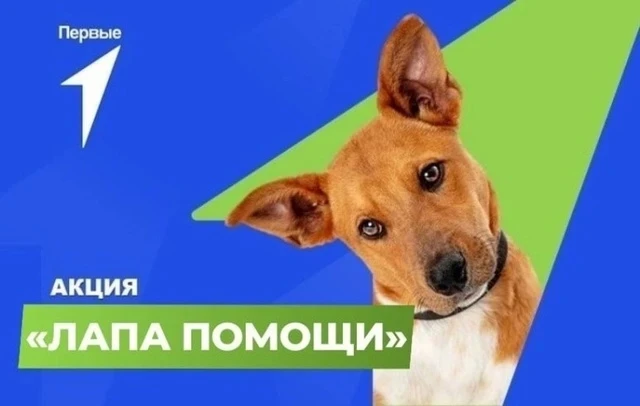 Первые с заботой 💟  ✨Быть в «Движении Первых» — это не только участие в форумах и проектах, это преж