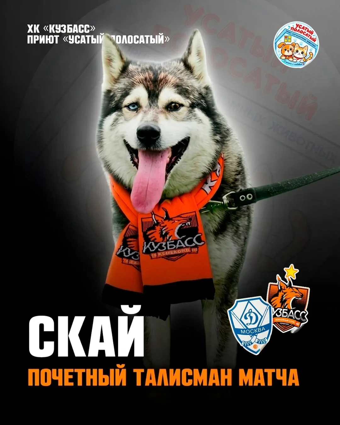 🐾 Особенный талисман сегодняшнего матча — Скай!