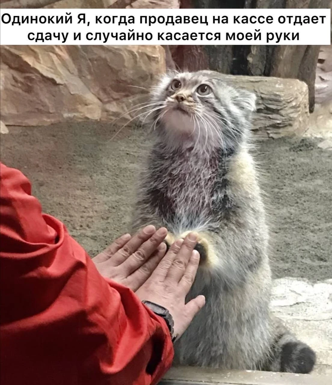 Курение делает людей более одинокими, — ученые