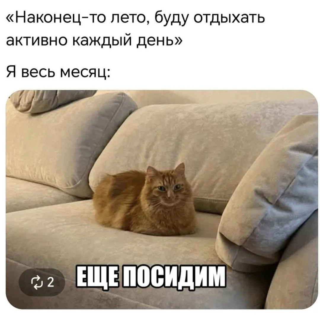 Ну точно мы ну