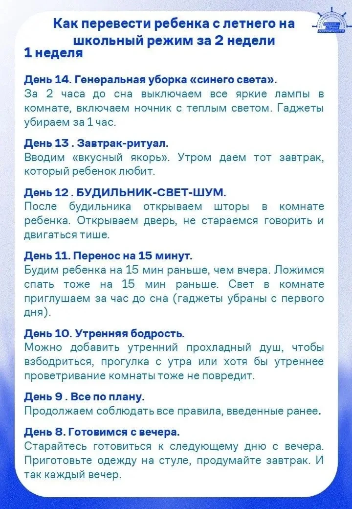 ⚡️Родители, у нас есть почти две недели до 1 сентября! Это не бесконечность, но вполне ...