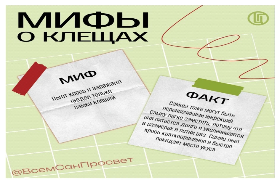 Мифы про клещей.