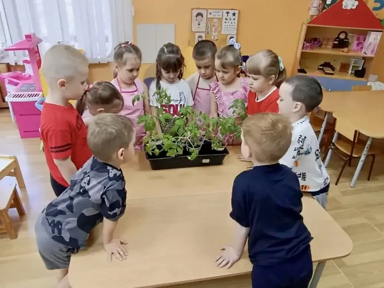 🍅 Мы посадим огород, не устанем от забот! 🍅