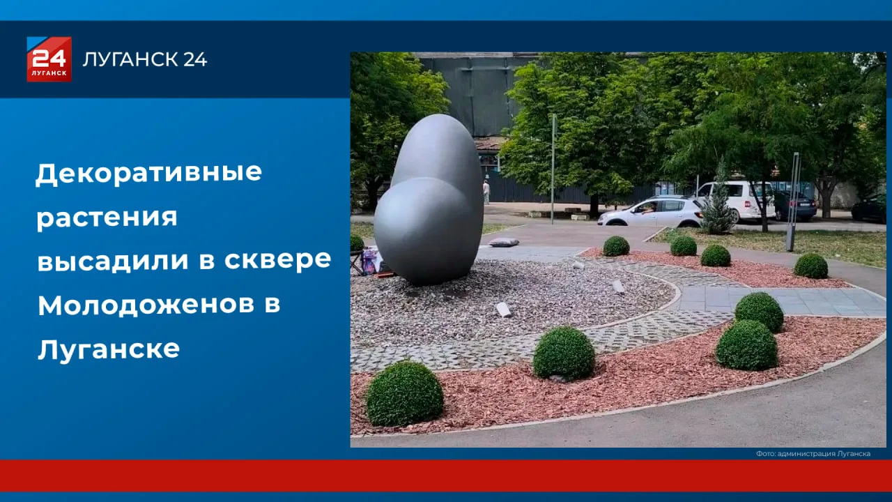 🌳 Декоративные растения высадили в сквере Молодоженов в Луганске