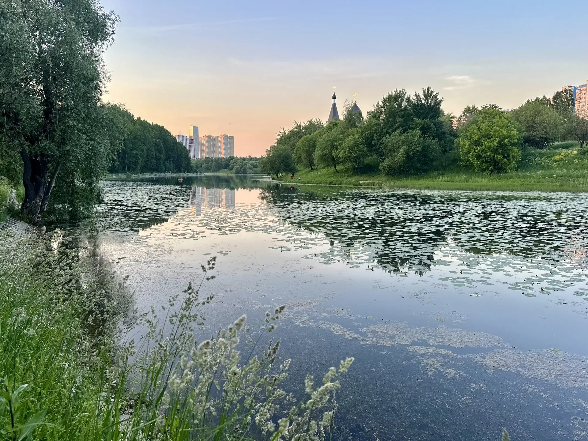 Большой Очаковский пруд в лучах закатного солнца 🧡