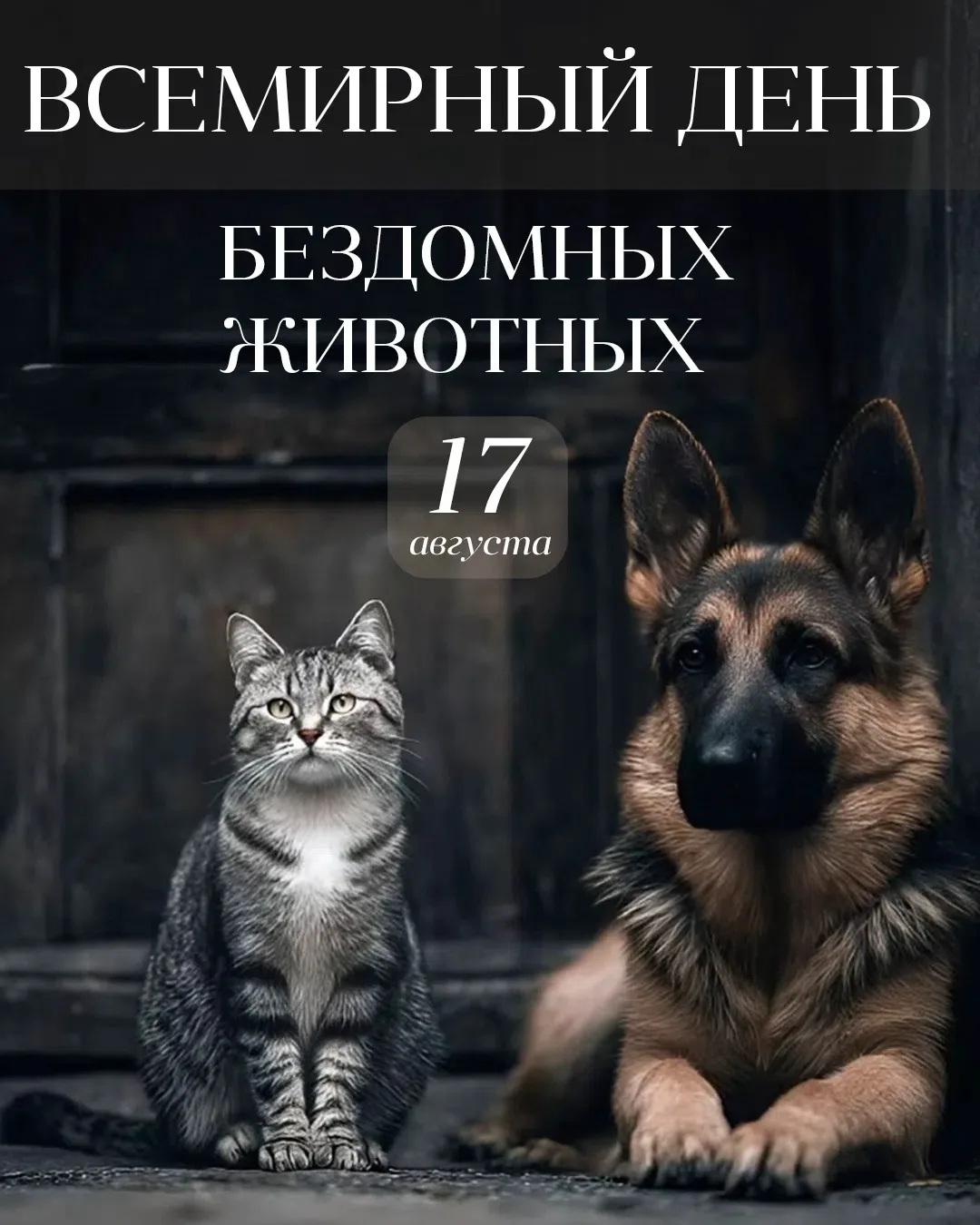 Дорогие друзья!
