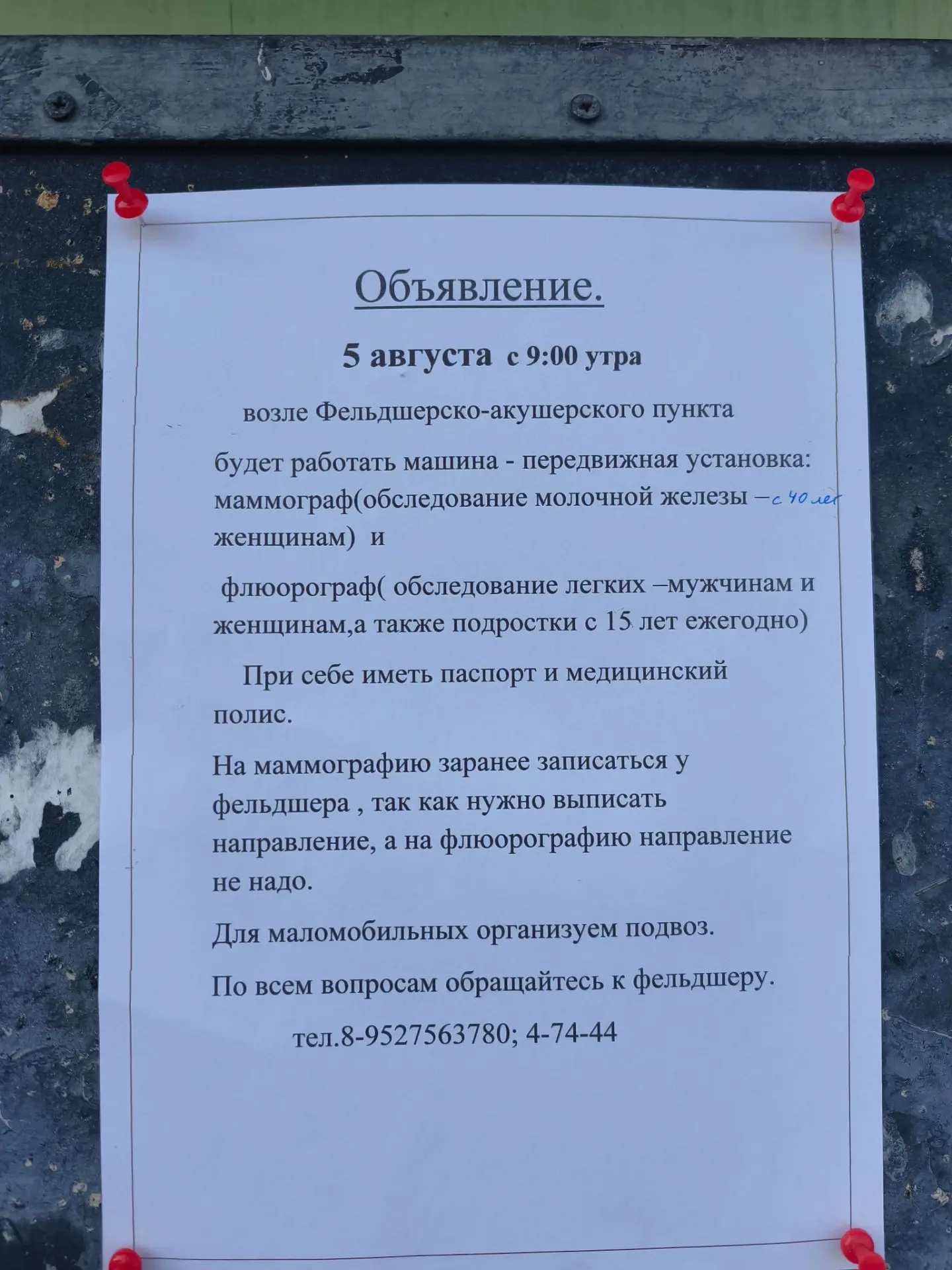 Новокривошеино