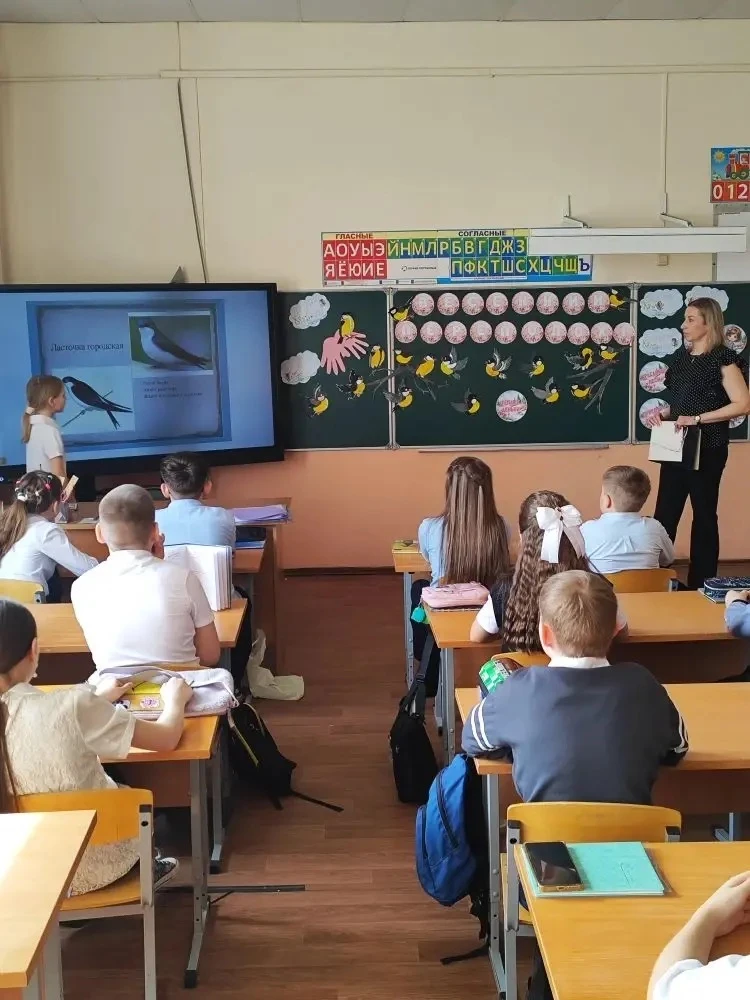 🕊️ Весенний переполох в 4 «Б»: встречаем пернатых вестников!