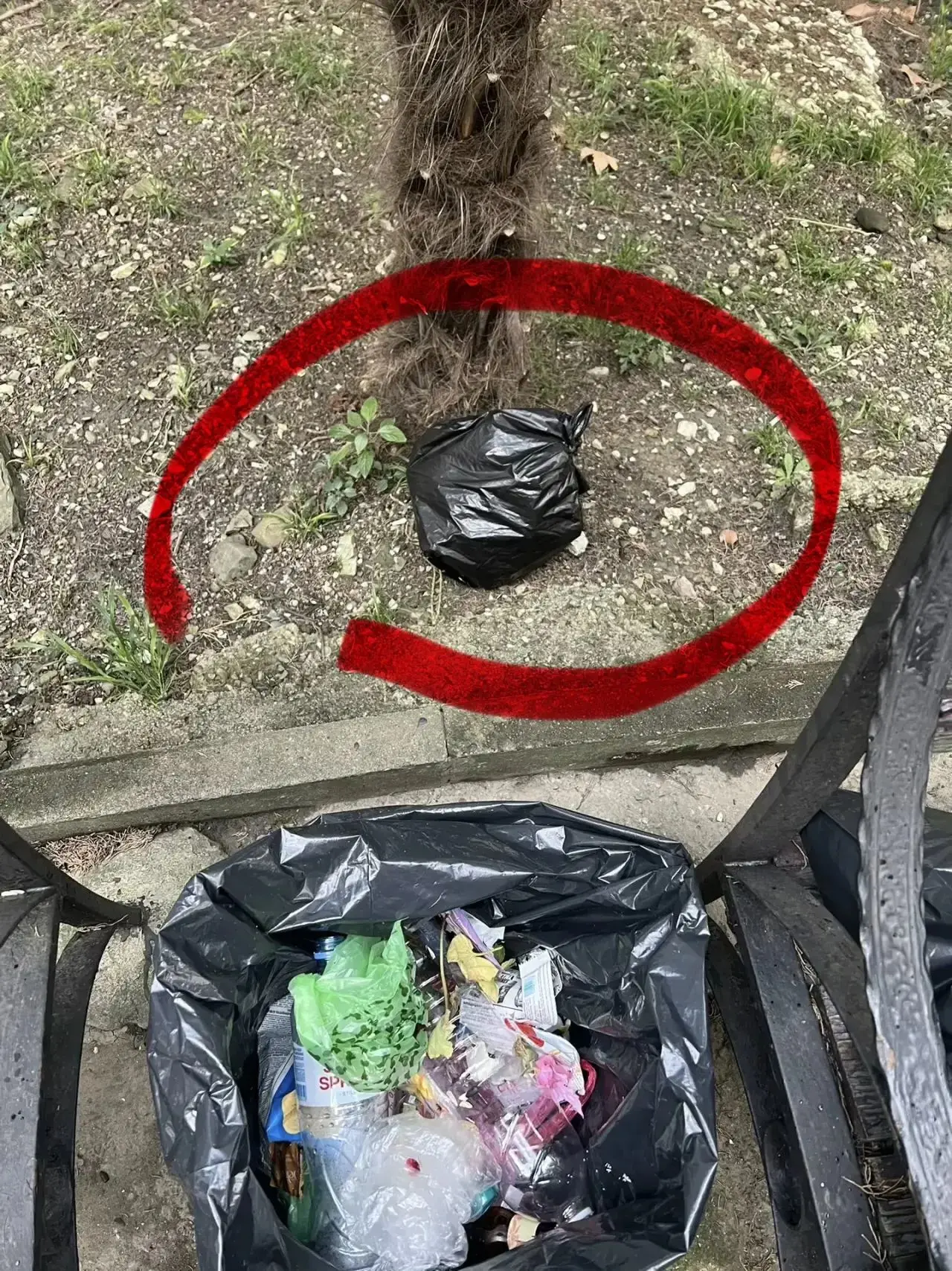 🐷 «Если ты себя узнал — можешь хрюкнуть»: в Сочи жильцы объявили войну ленивым соседям