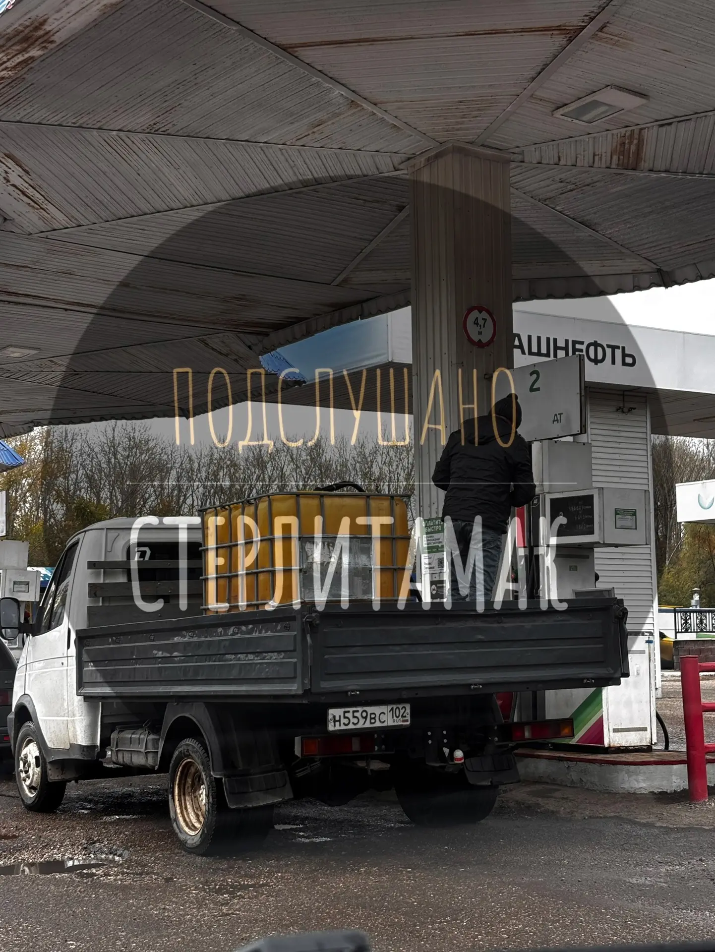 (от подписчика)