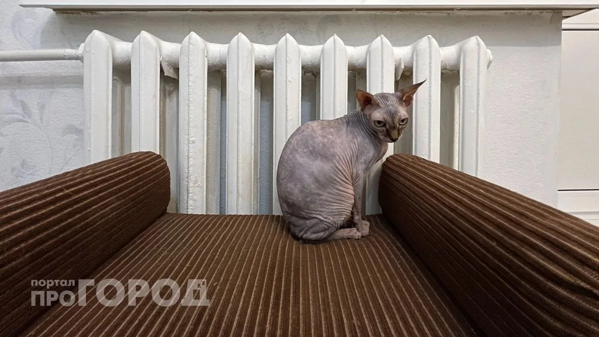 🔥 Отопительный сезон в Новочебоксарске: тепло дошло не везде