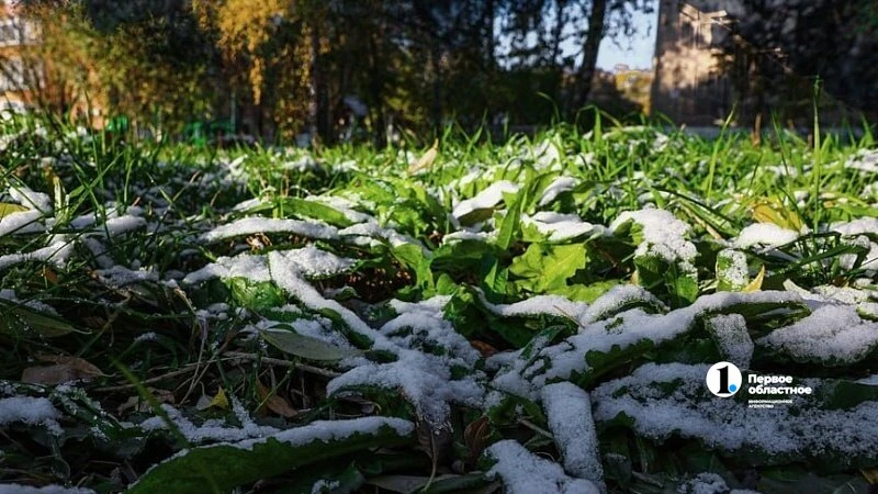 🌾 Аграрии Южного Урала из-за снега приостановили полевые работы