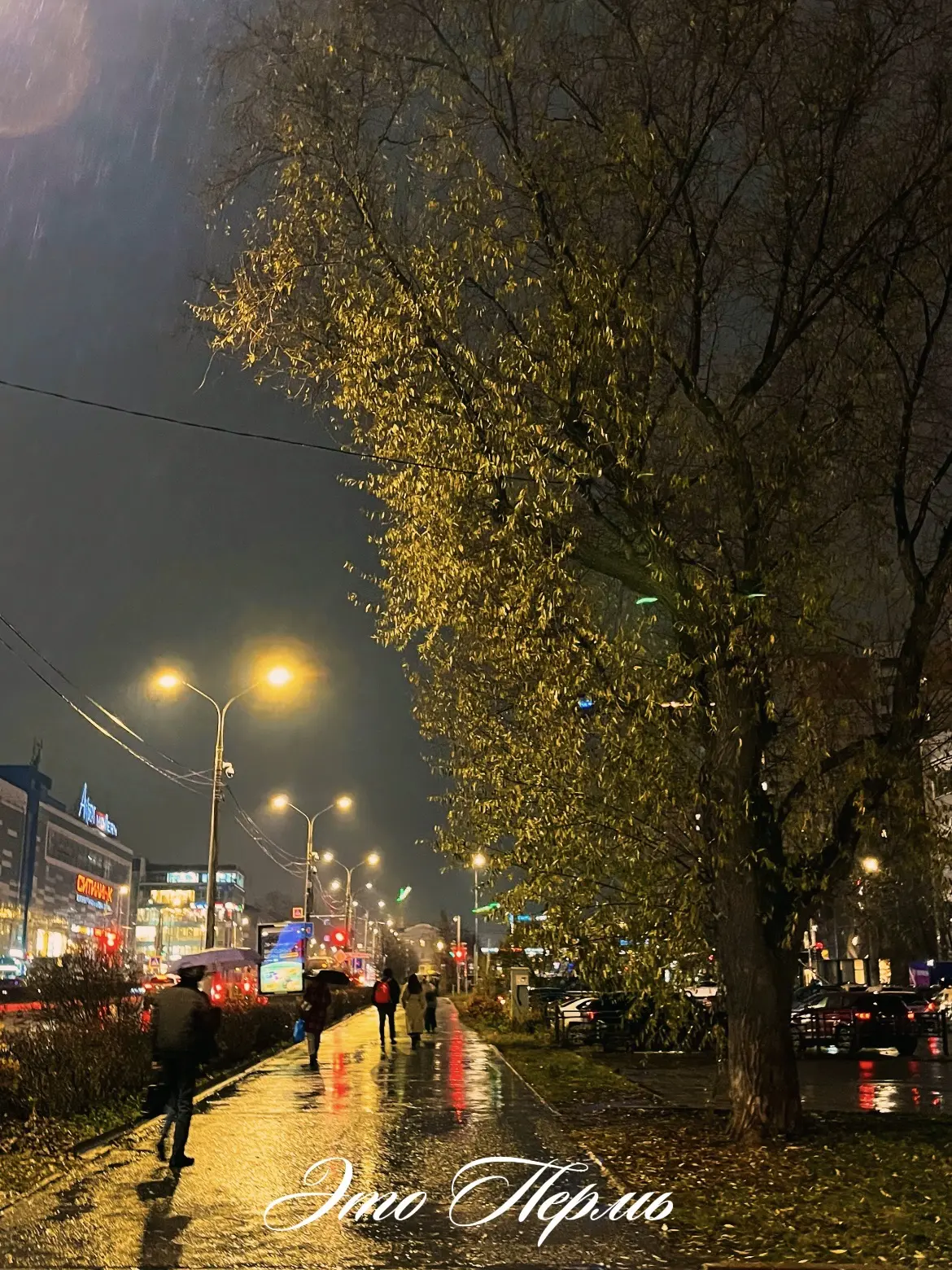 Сезон дождей ☔️🍂