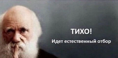 Я каждое утро при выборе аромата