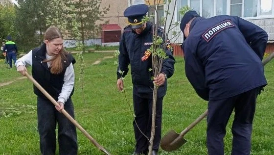 В Костромской области полицейские и общественники продолжают проведение акции Сад памяти.  В Костром