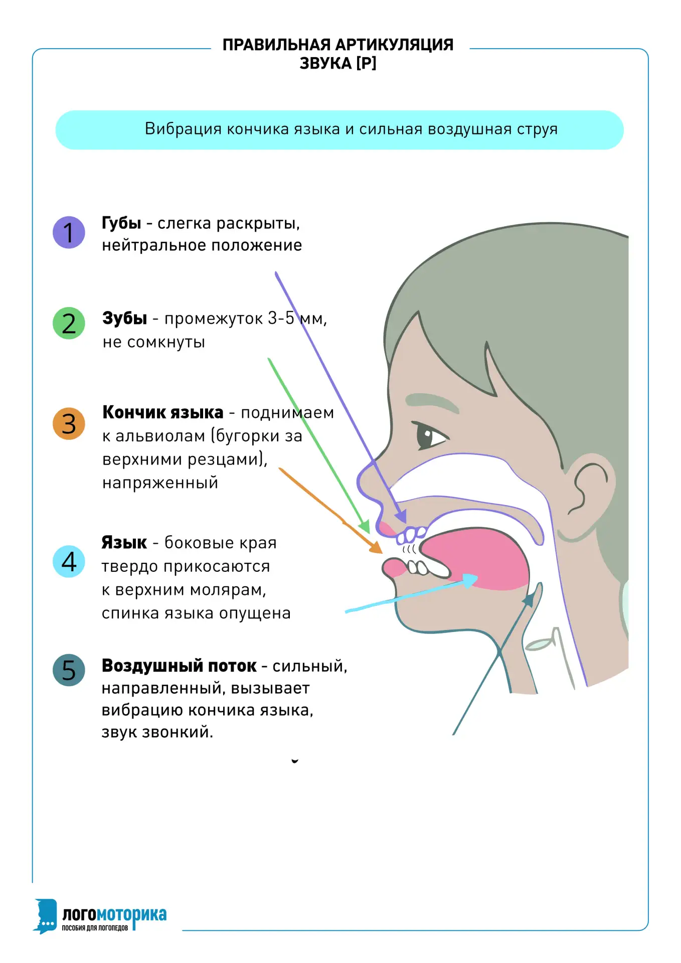 НАРУШЕНИЯ ПРОИЗНОШЕНИЯ ЗВУКОВ [Р, Р’]