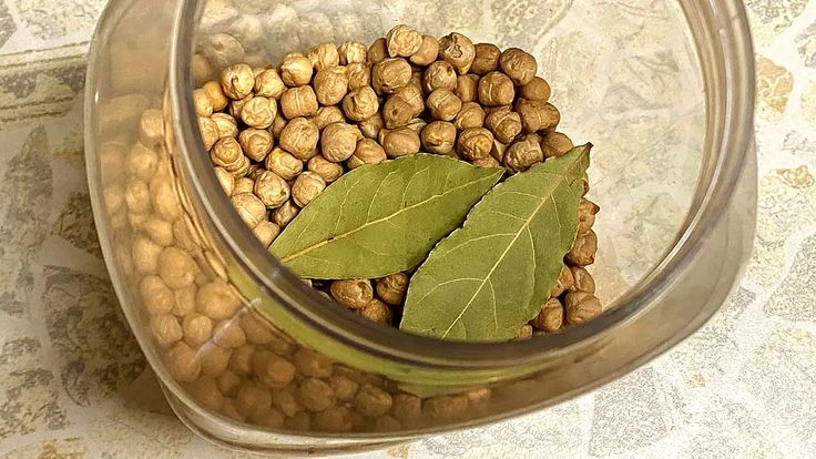 🐞 У меня на кухне завелись жучки… Рассказываю, как справилась