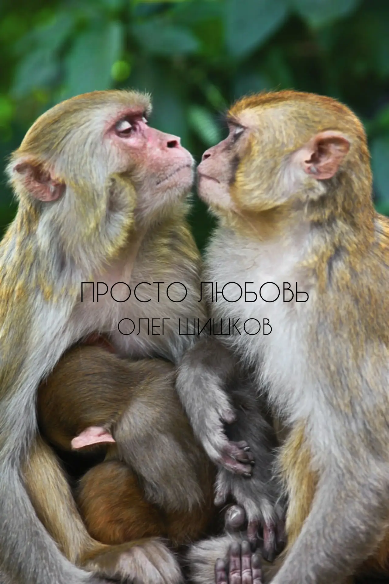 Такие работы приходят на наш фотоконкурс «Моя Планета. Природа. Люди. Путешествия»