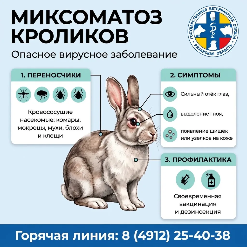 📝 Миксоматоз — инфекционное заболевание млекопитающих отряда зайцеобразных вирусного п...