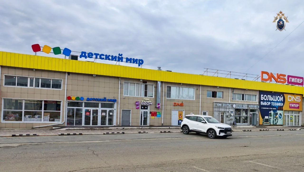 🔍 В Элисте разыскивают очевидцев происшествия у павильона на улице Ленина