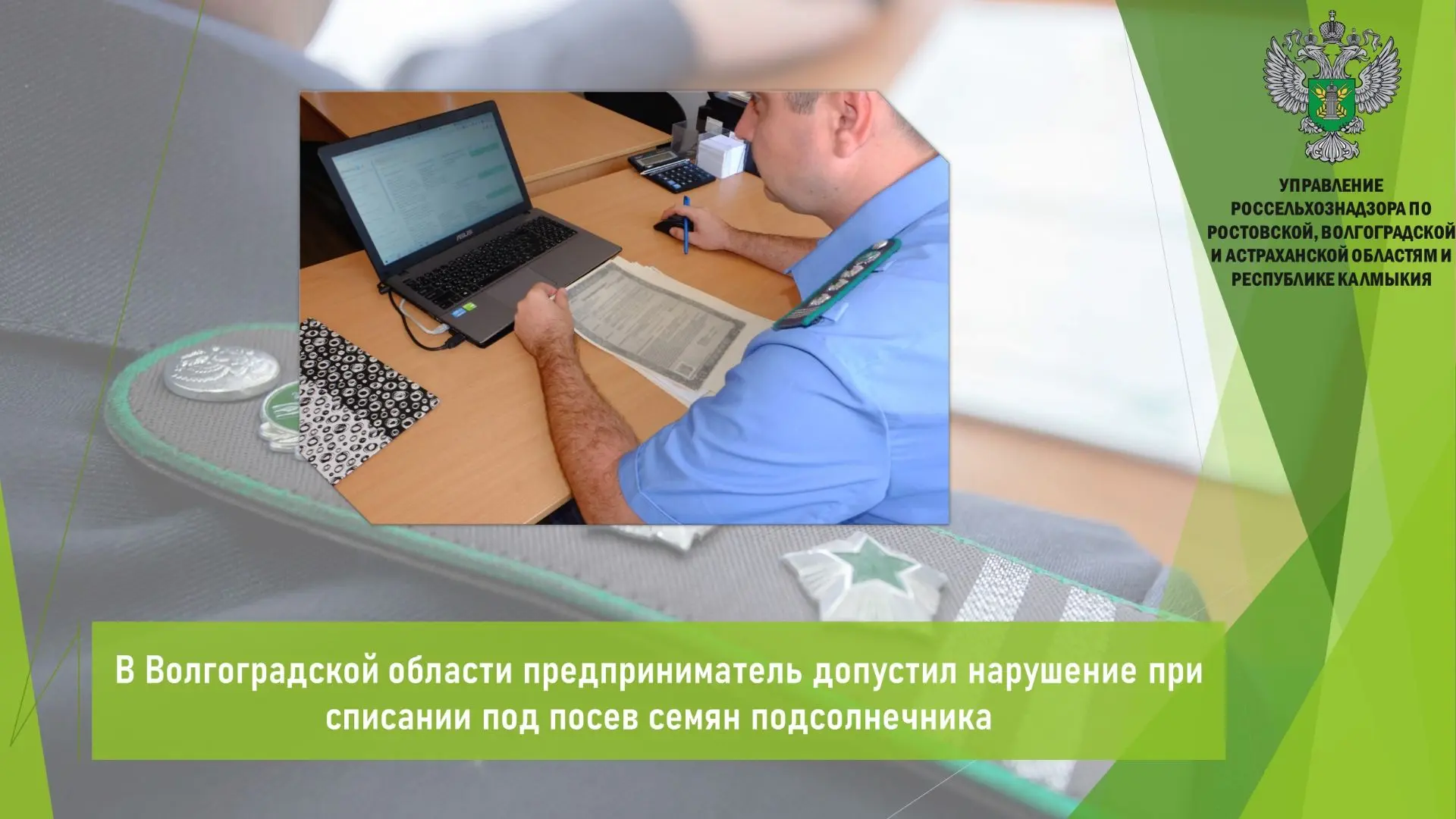 💻 Управлением Россельхознадзора в рамках мониторинга данных ФГИС «Семеноводство» устан...