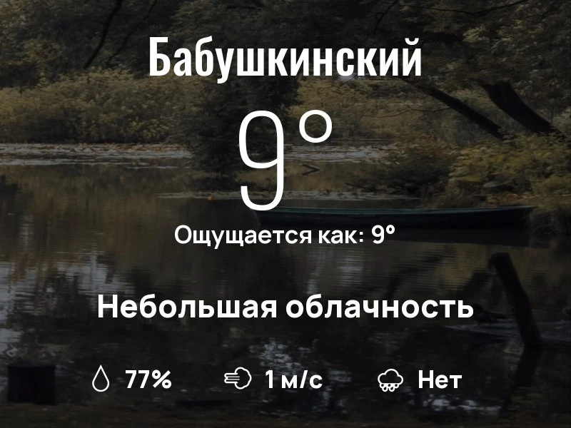Что с погодой в Бабушкинском?