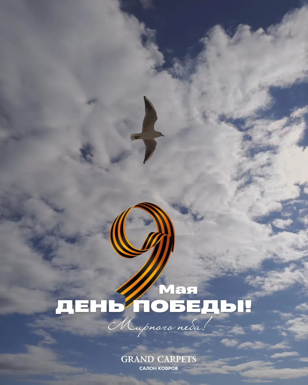 Сегодня отмечаем великий и важный праздник - День Победы!