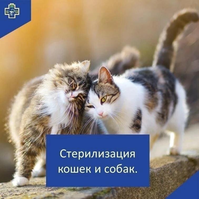 Стерилизация
