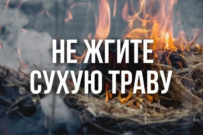 🔥Не жгите сухую траву!