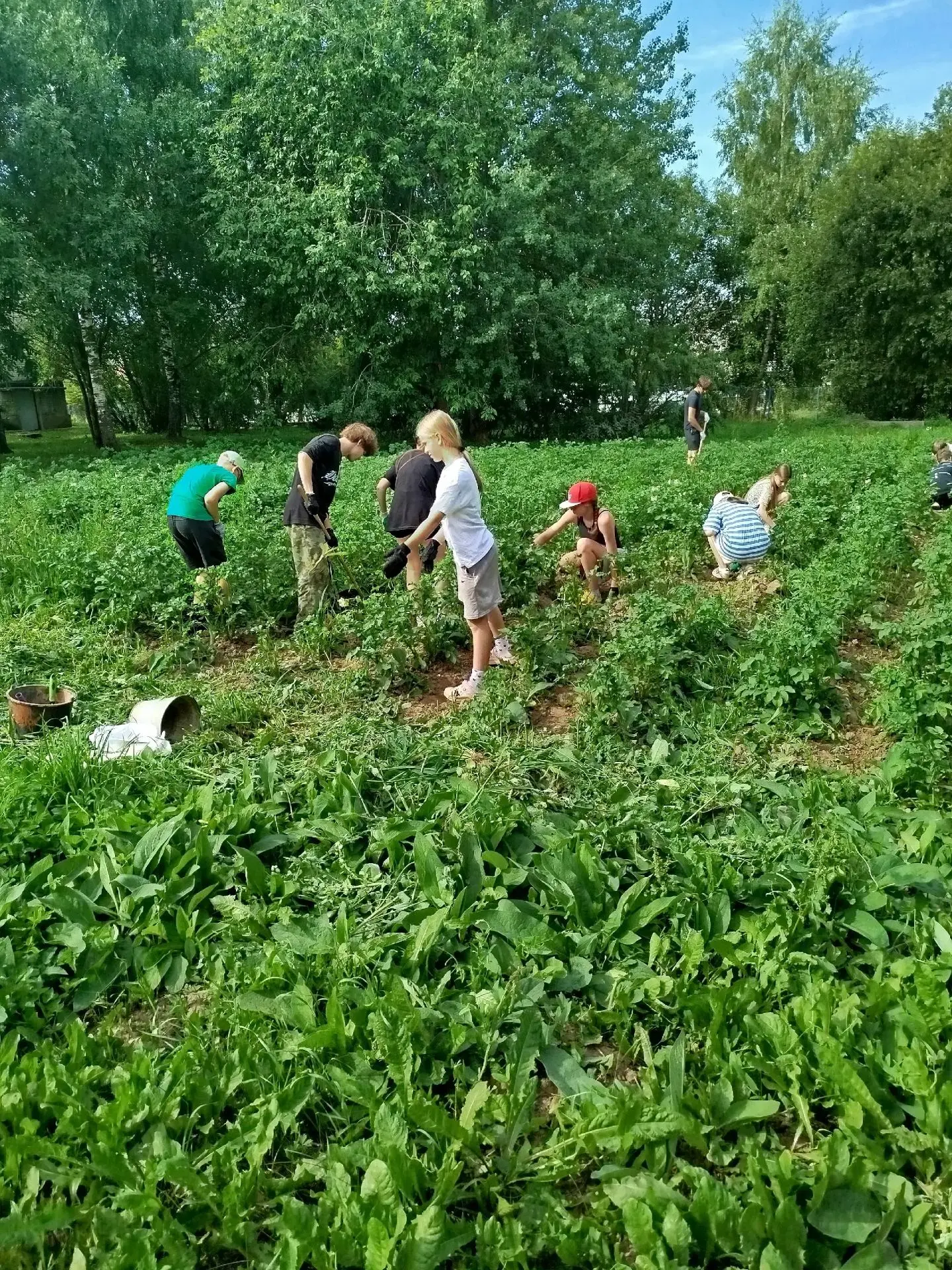 Битва за урожай картошки начинается! 🥔💥

Ребята, всем стоять! Наш пришкольный участок превращается