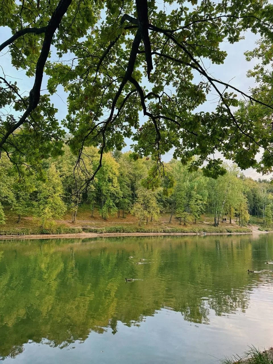 🍂 Чудесное место для осенних прогулок, озеро Комсомольское в Дербышках